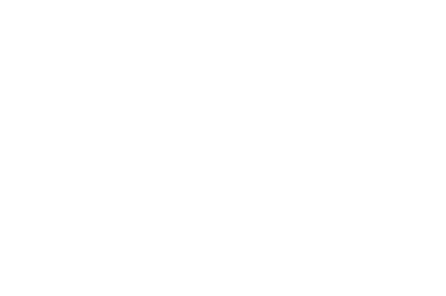 OFFICIAL SELECTION - Chicago Indie Film Awards - 2022