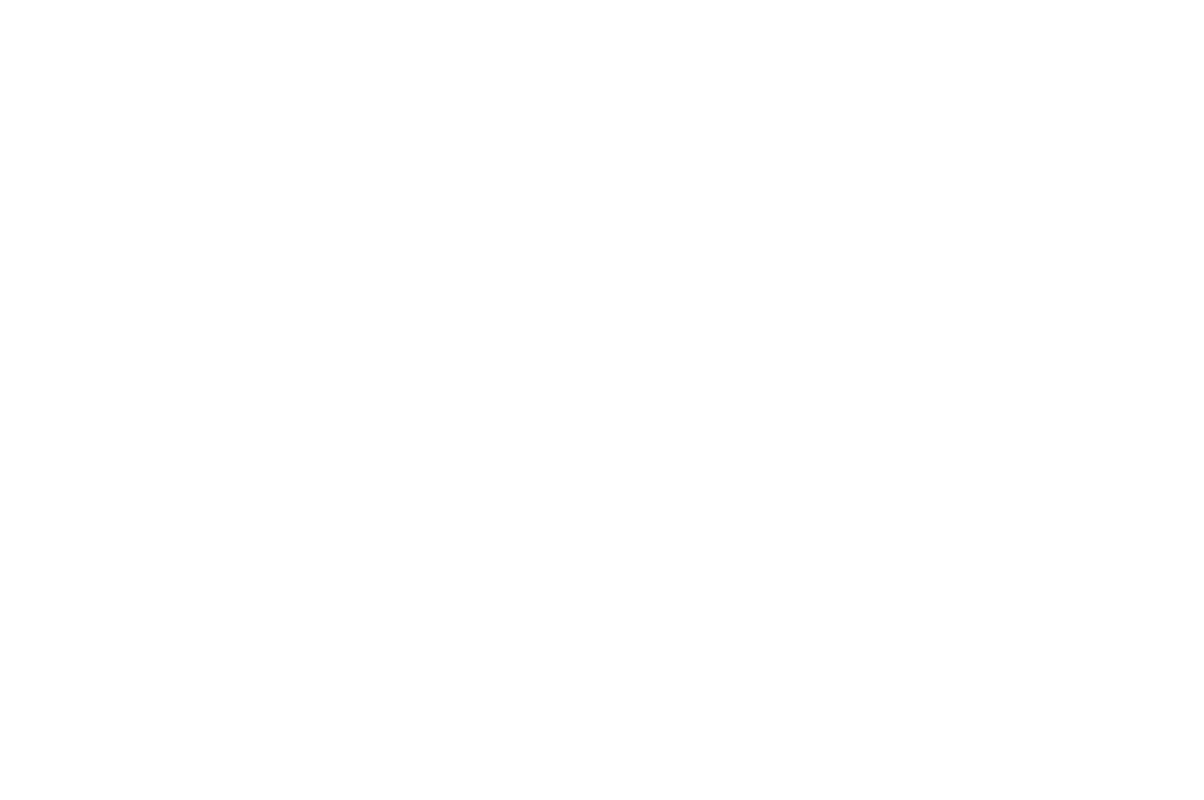 OFFICIAL SELECTION - Door Kinetic Arts Festival - 2022